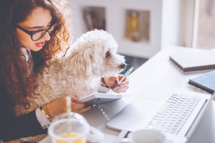 Civil servants have resisted calls to return to the office