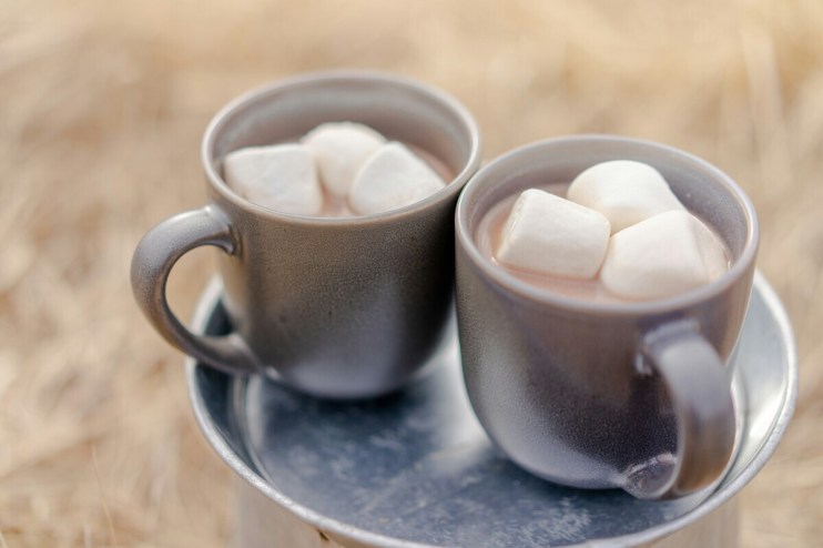After losing twice in the long-running ‘mega marshmallows' tax case, HMRC has said it is looking to file yet another appeal.