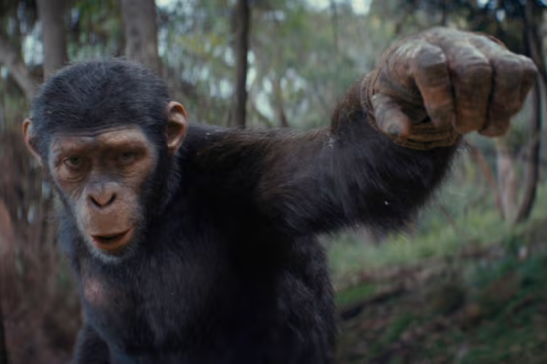 The new Planet of the Apes instalment is a worthwhile summer blockbuster (20th Century Studios)