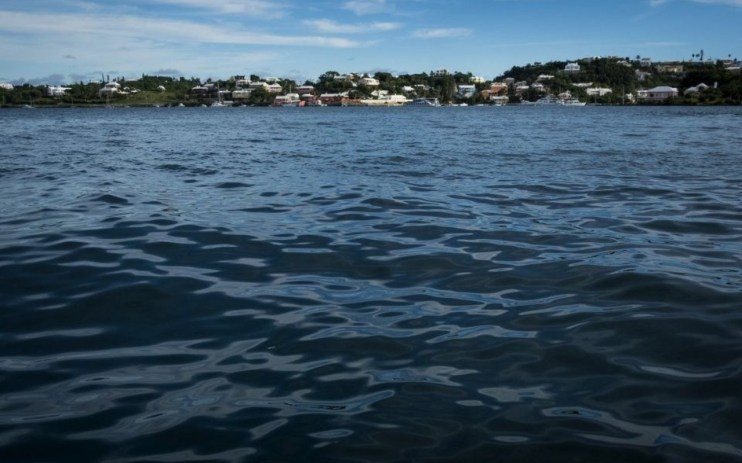 Bermuda-based insurance firm R&Q has confirmed that it filed for liquidation