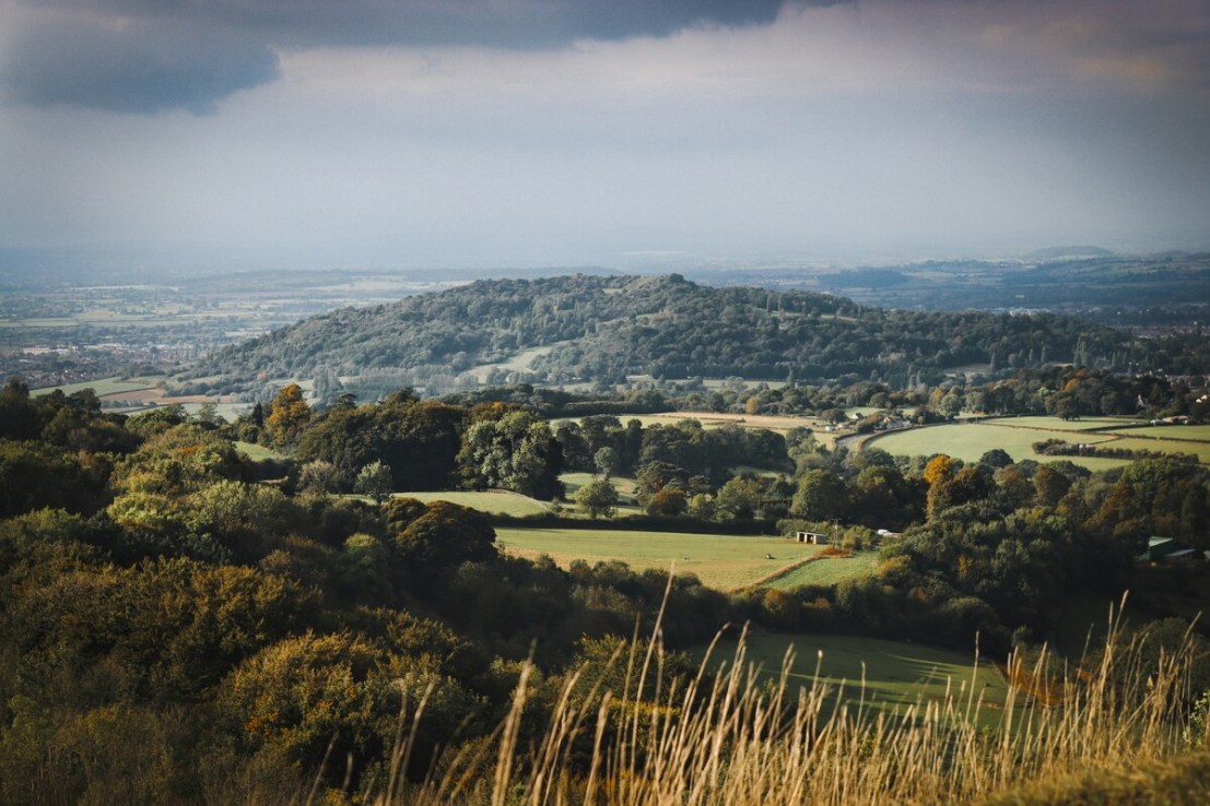 Cotswold, pic by Sam Williams