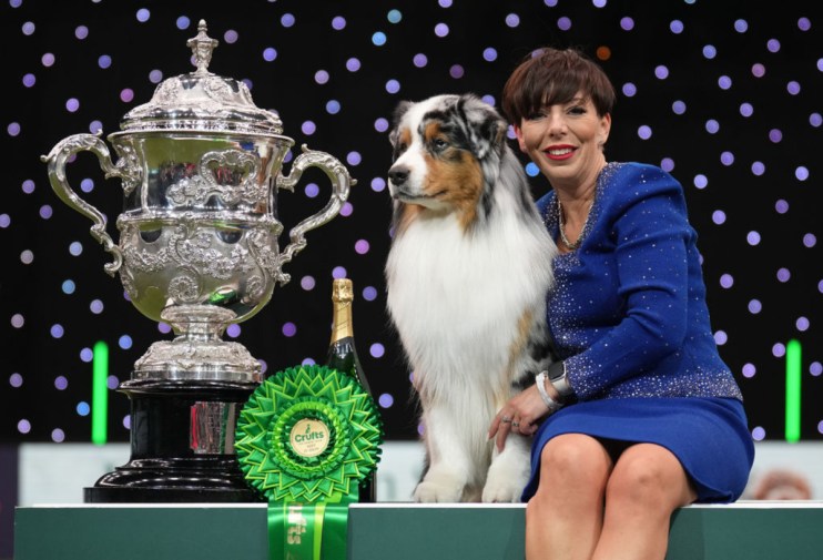 The Kennel Club, the organisation behind Crufts dog show, said the cost of putting on events has skyrocketed.
