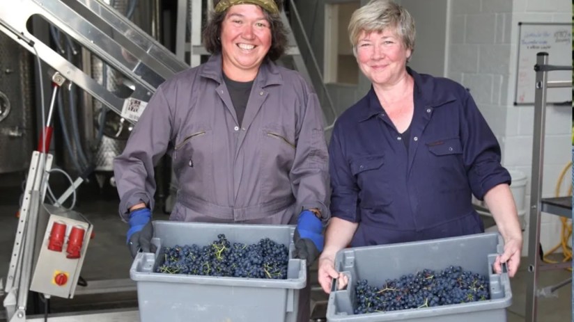 Off The Line Vineyard founders Kristina Studzinski and Ann-Marie Tynan in 2014.&nbsp;Photo: Off The Line