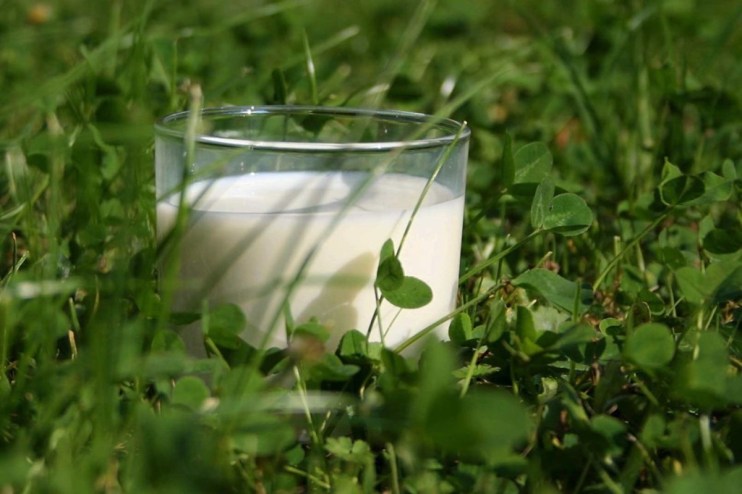 Arla Foods has warned that the price of milk is going to rise.