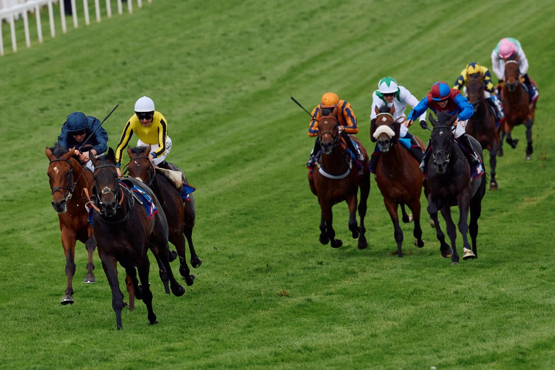 Friendly to fire on the Knavesmire in Juddmonte International