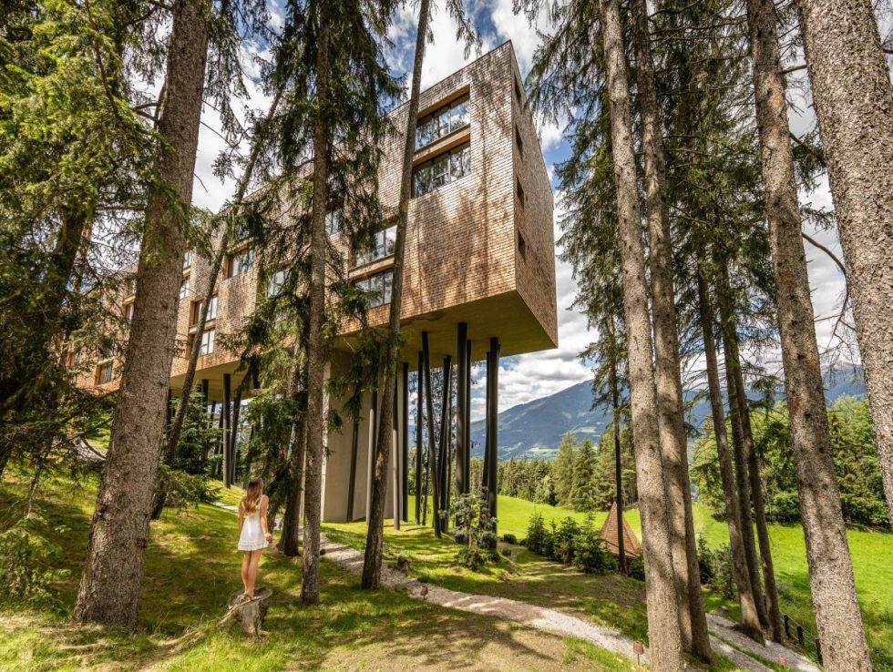 Nature’s embrace: The wellness treetop hotel in the Dolomites