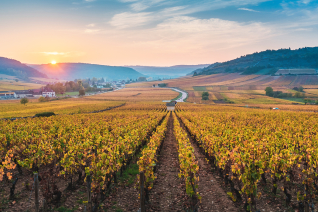 Kent and Essex have benefitted from a changing cliamte