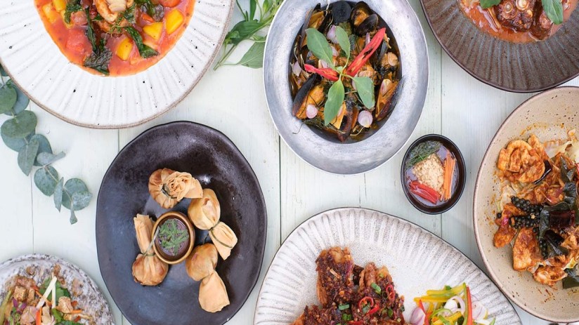 Giggling Squid has returned to the black.