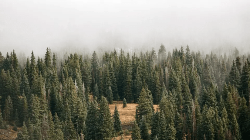 The strong performance of oil and gas firms after the war in Ukraine and regulatory issues have made investors question the ESG label in recent years.