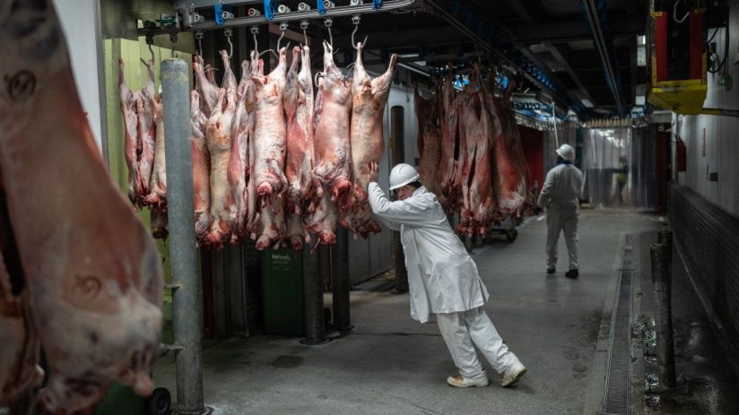 LONDON, ENGLAND - FEBRUARY 14: A worker pushes newly-delivered pork into a wholesale butchers at Smithfield Market on February 14, 2023 in London, England. Central London's Smithfield meat market, which dates from the 10th century, will relocate to a purpose-built site in Dagenham as part of a 1 billion GBP project to combine the city's wholesale markets under one roof. The vacated area will house the re-located Museum of London. The move from Smithfield faced opposition from meat traders, who had threatened to invoke a royal charter to remain at the site. However, the new market is expected to bring 2,700 new jobs to the borough of Barking and Dagenham. (Photo by Carl Court/Getty Images)