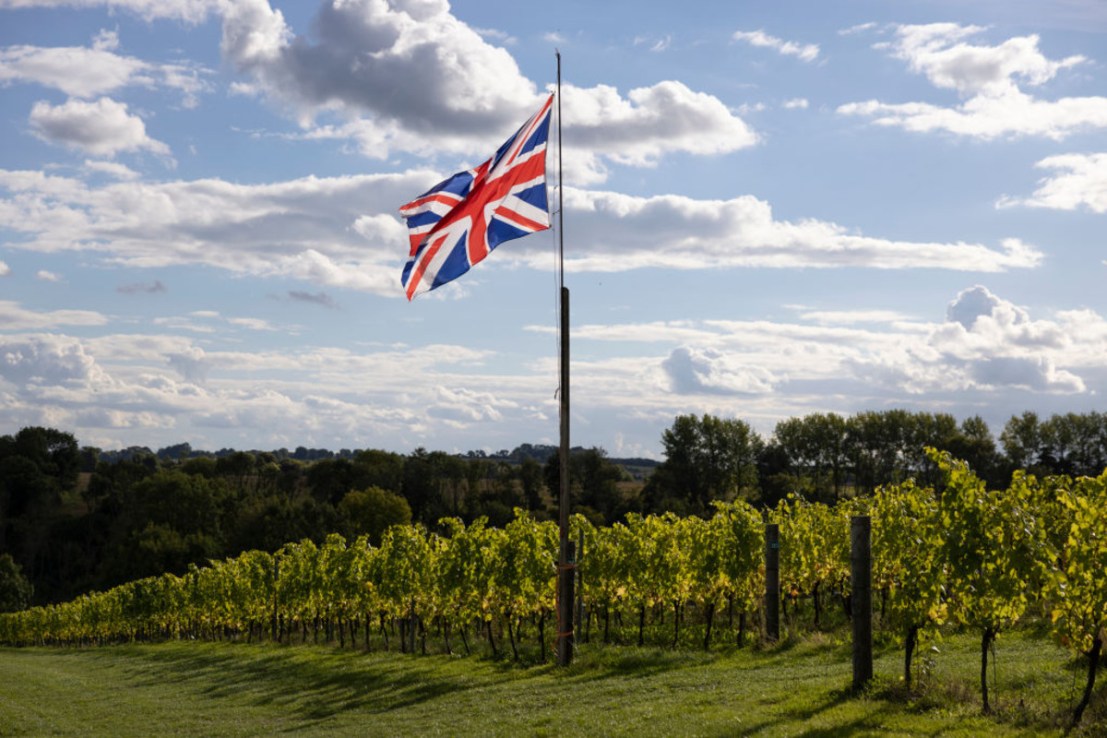 The British wine industry hope Eurostar reinstates its Kent services.  (Photo by Dan Kitwood/Getty Images)