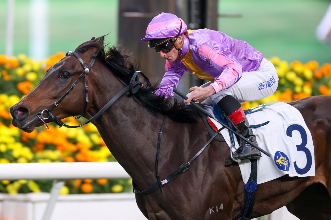 Johannes Brahms, formerly trained by Aidan O'Brien, arrived in Hong Kong last July and is now trained by Pierre Ng.