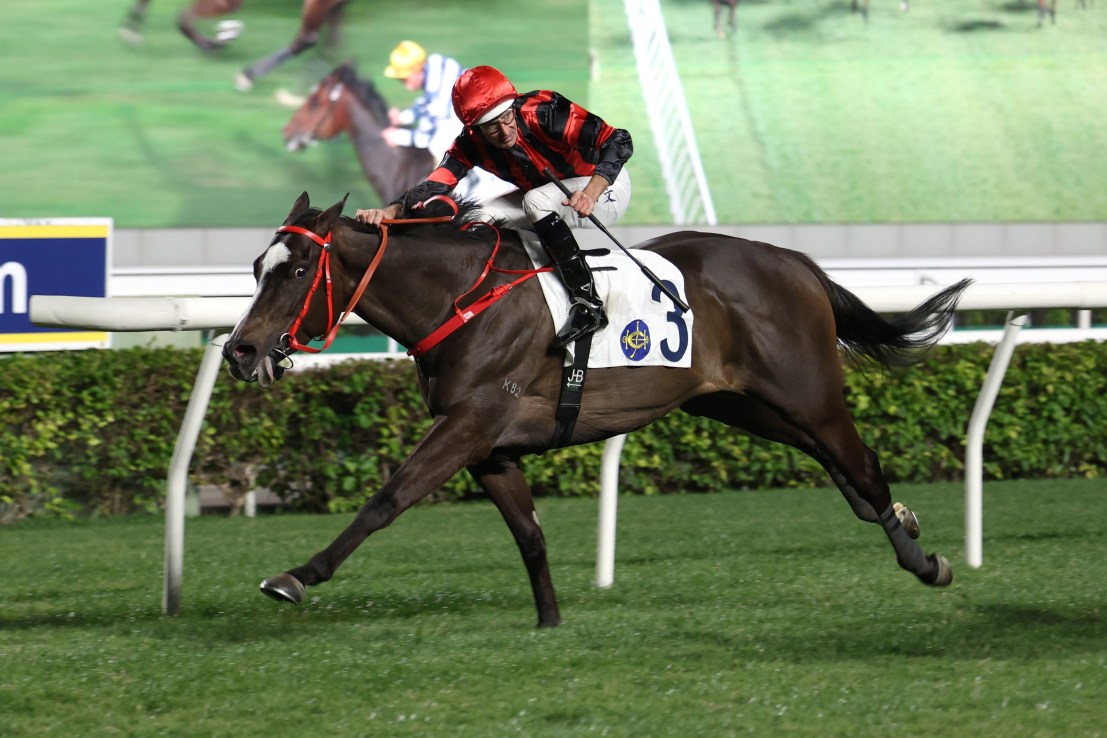 Mickley won the Britannia Handicap at Royal Ascot last June.