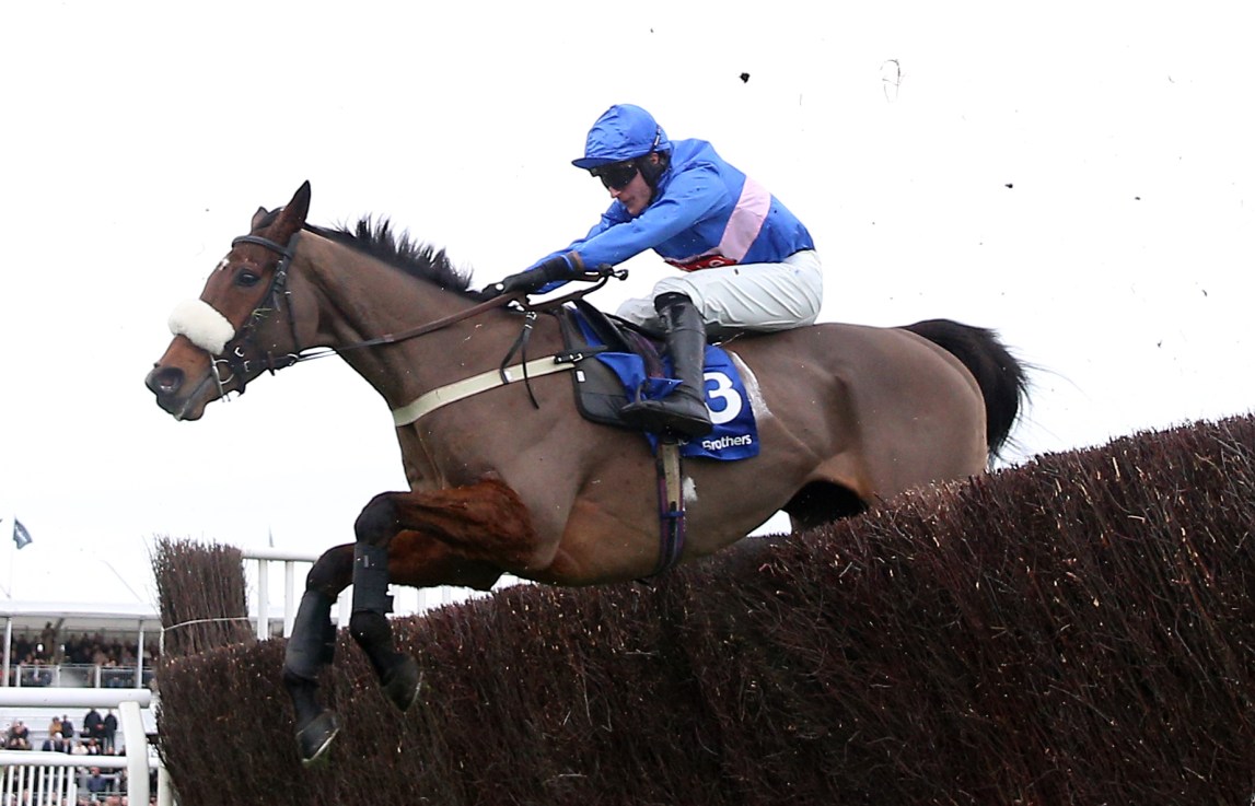 Libberty Hunter finished second in the Grand Annual at the Cheltenham Festival last year.