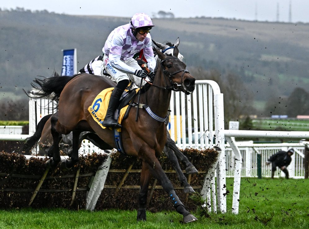 Golden Ace won the Mares' Novices' Hurdle at  last year's Cheltenham Festival