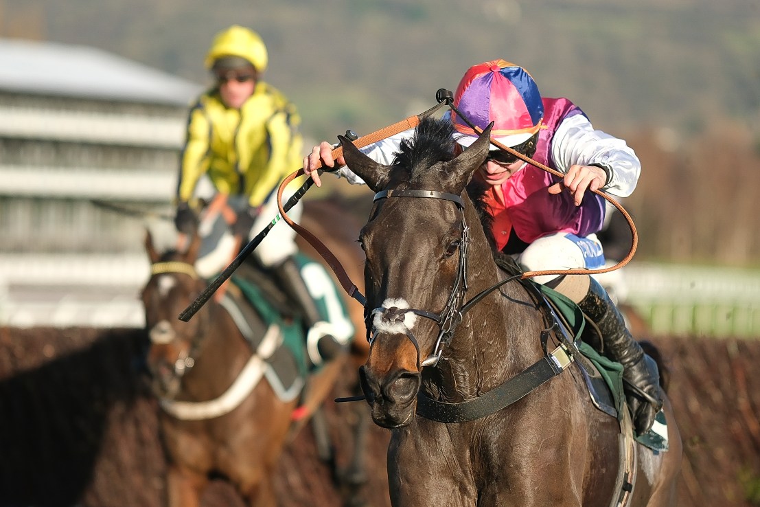 Now is the hour to back Haiti Couleurs for Cheltenham