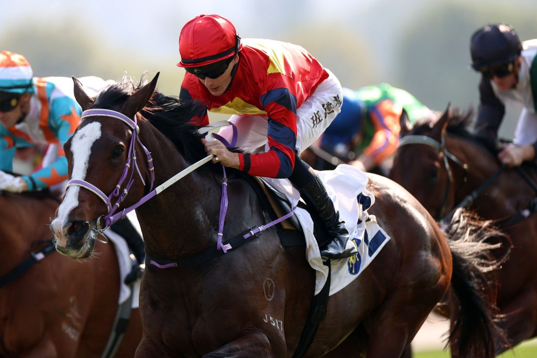 Hong Lok Golf is seeking a hat-trick of wins at Sha Tin under Harry Bentley