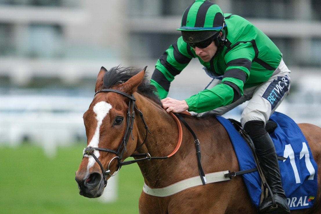 Something Tells me to back Navajo at Newbury