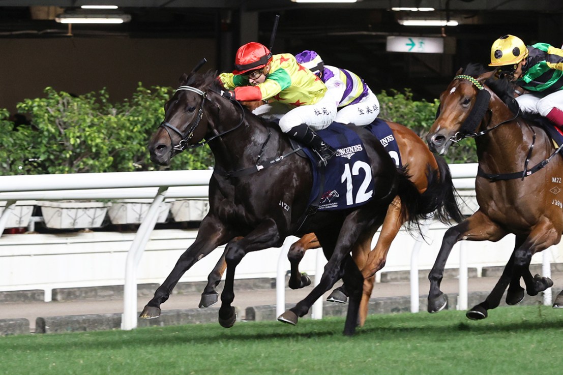 Soleil Fighter was a winner at Happy Valley in December