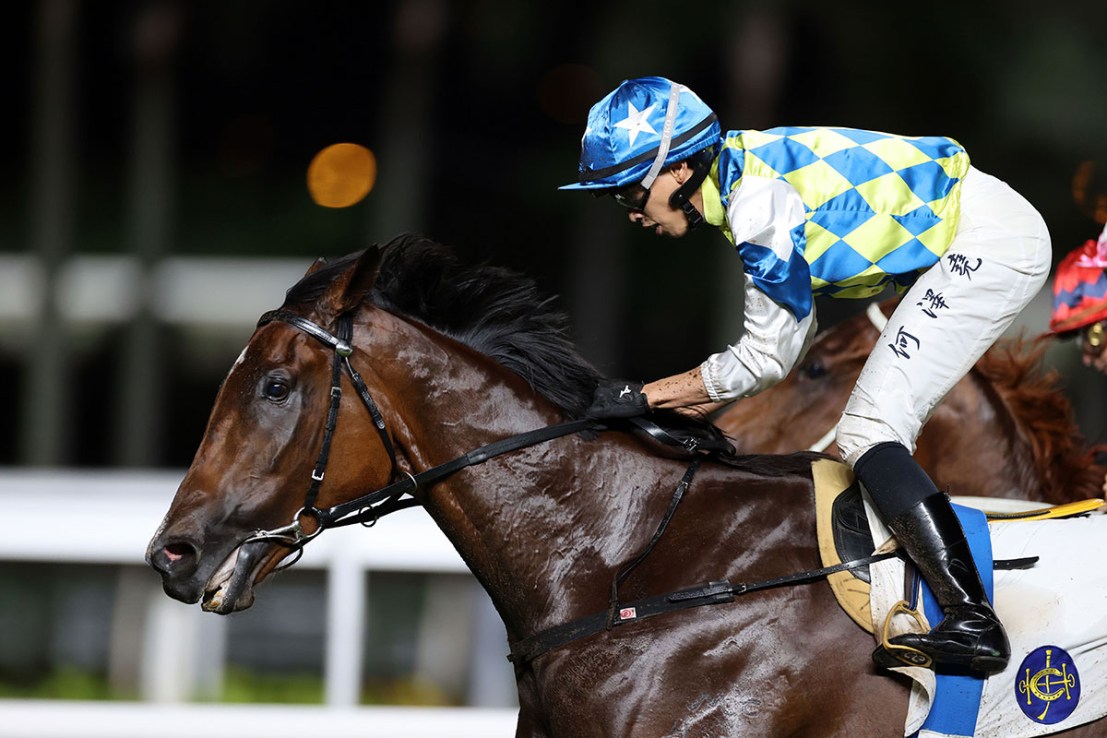 Galaxy Patch (pictured) beat Voyage Bubble in the G2 Sha Tin Trophy in October.