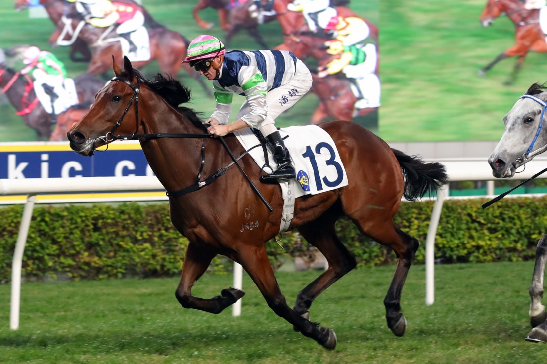 Packing Angel has won in all of his last three starts.