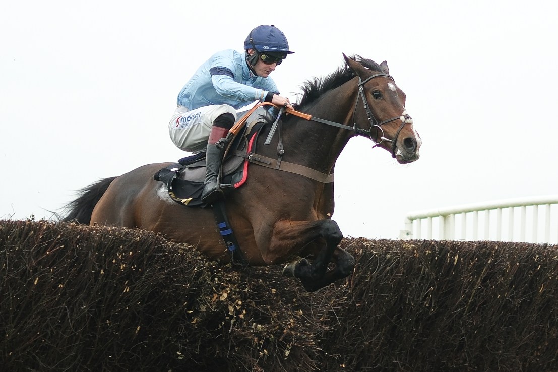 Beau Balko looks worth the Risk on good ground