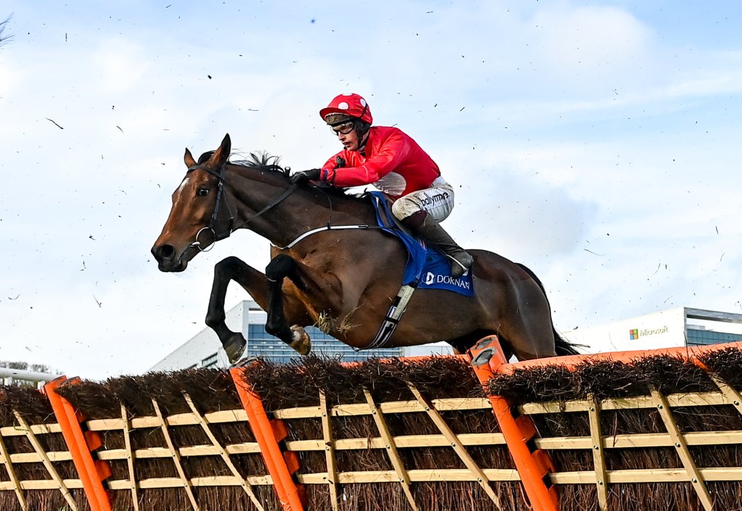 Home By The Lee is aiming to win the Stayers’ Hurdle at the fourth attempt.