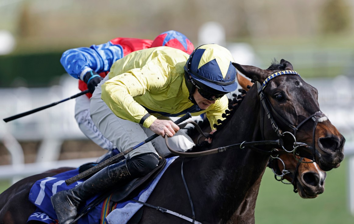 Marine can spoil Jonbon’s Cheltenham party