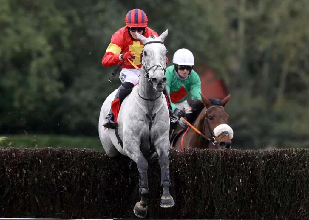 Vanillier finished second in the 2023 Grand National.