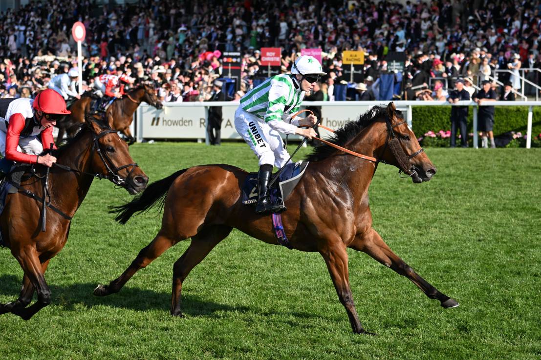 Hannon’s Witch can Hunt them down in Doncaster Mile