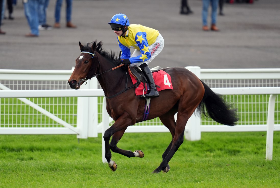 Fuss and Teriferma can hit the frame in Hot Fred Winter