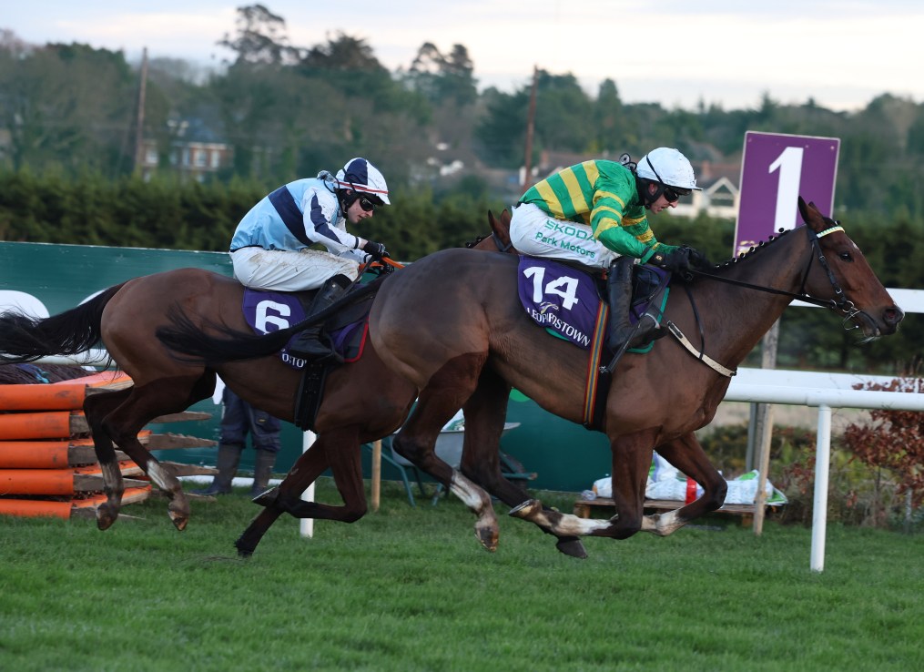 Fancy McManus to Win Some in the Pertemps
