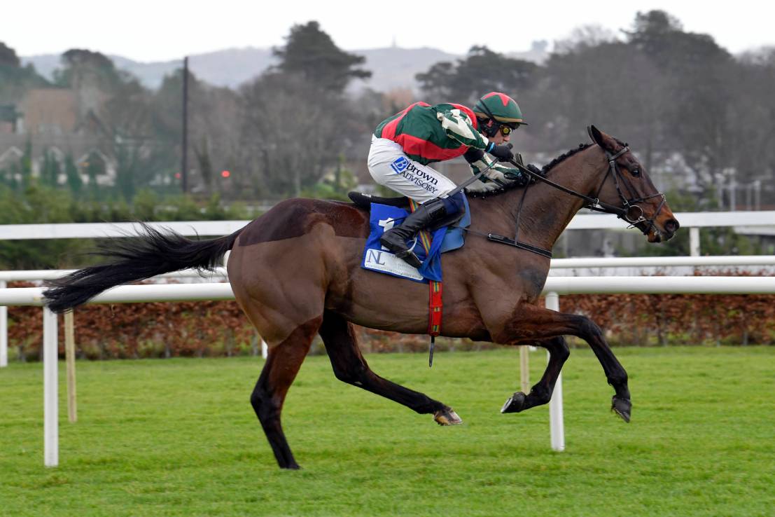 Final Demand won a Grade One at Leopardstown in February.