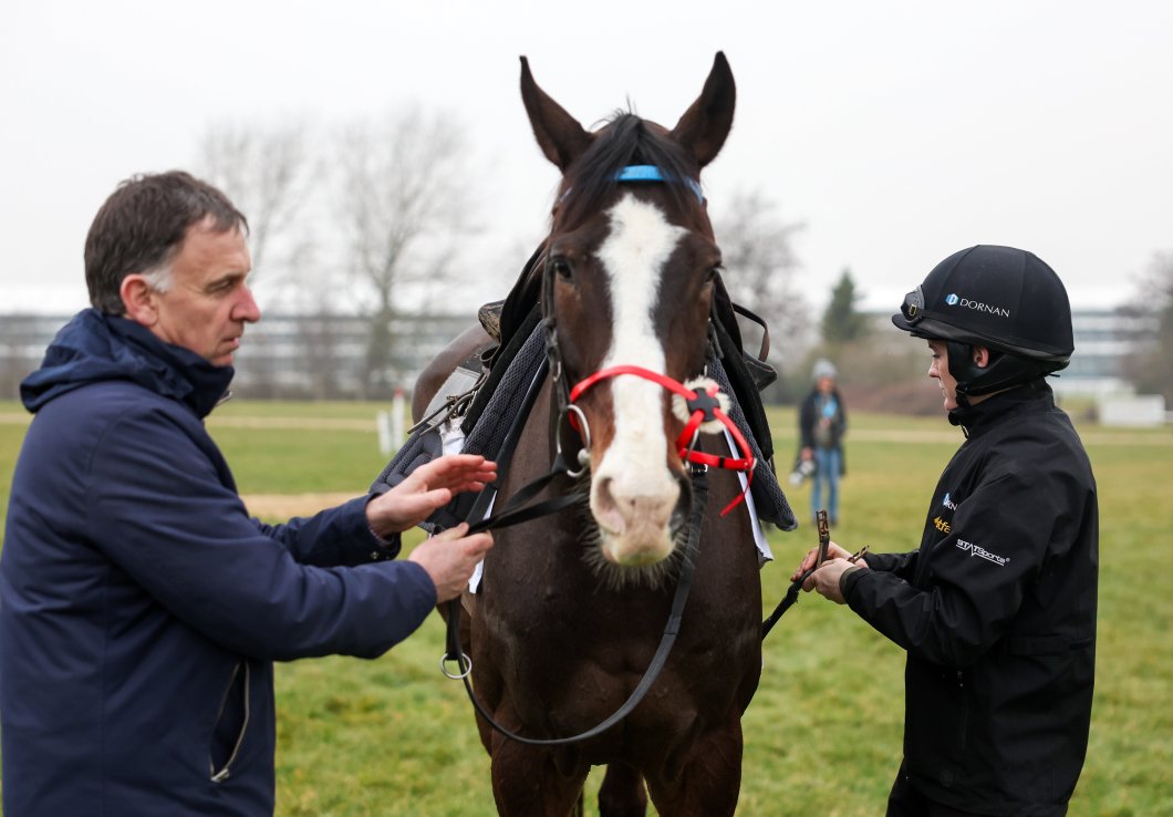 Henry de Bromhead saddles Workahead in the Supreme Novices’ Hurdle.