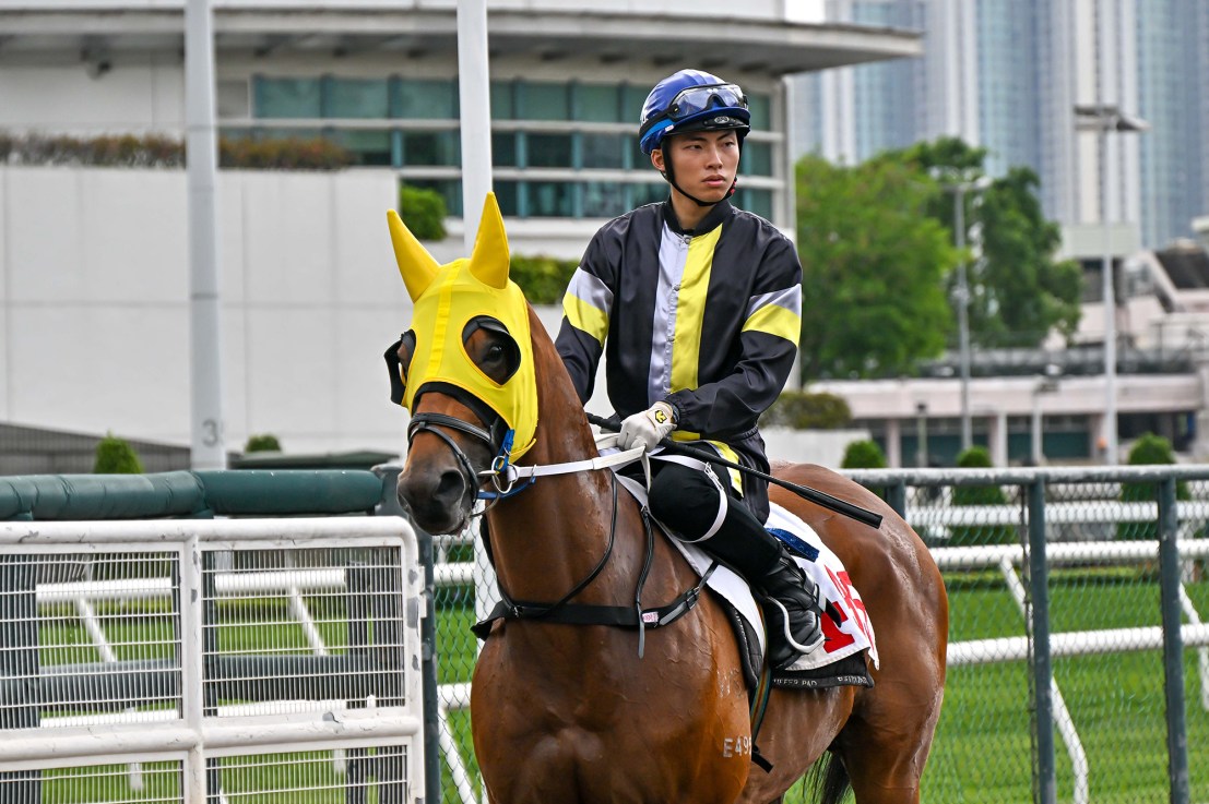 Ellis Wong has had six winners in Hong Kong this season.