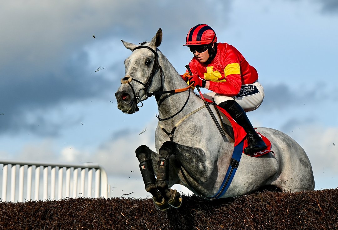 Vanillier has run in the last two Grand Nationals.