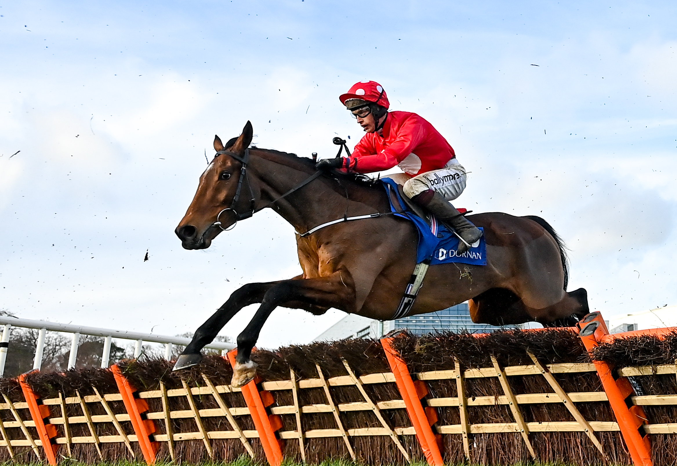 Lee will be right at Home in the Liverpool Hurdle