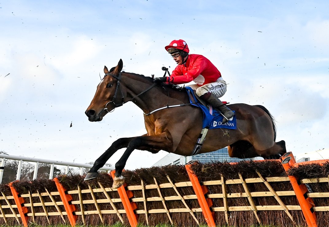 Home By The Lee runs in the Liverpool Hurdle for Joseph O'Brien.
