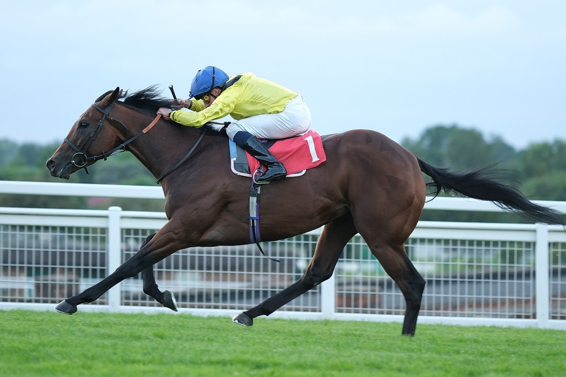 Back Almaqam to show star potential in the Gordon Richards