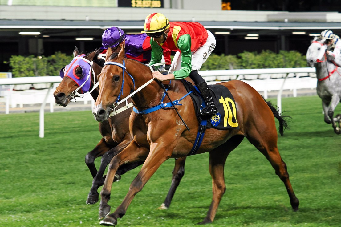 Jumbo Legend was a winner at Happy Valley three weeks ago