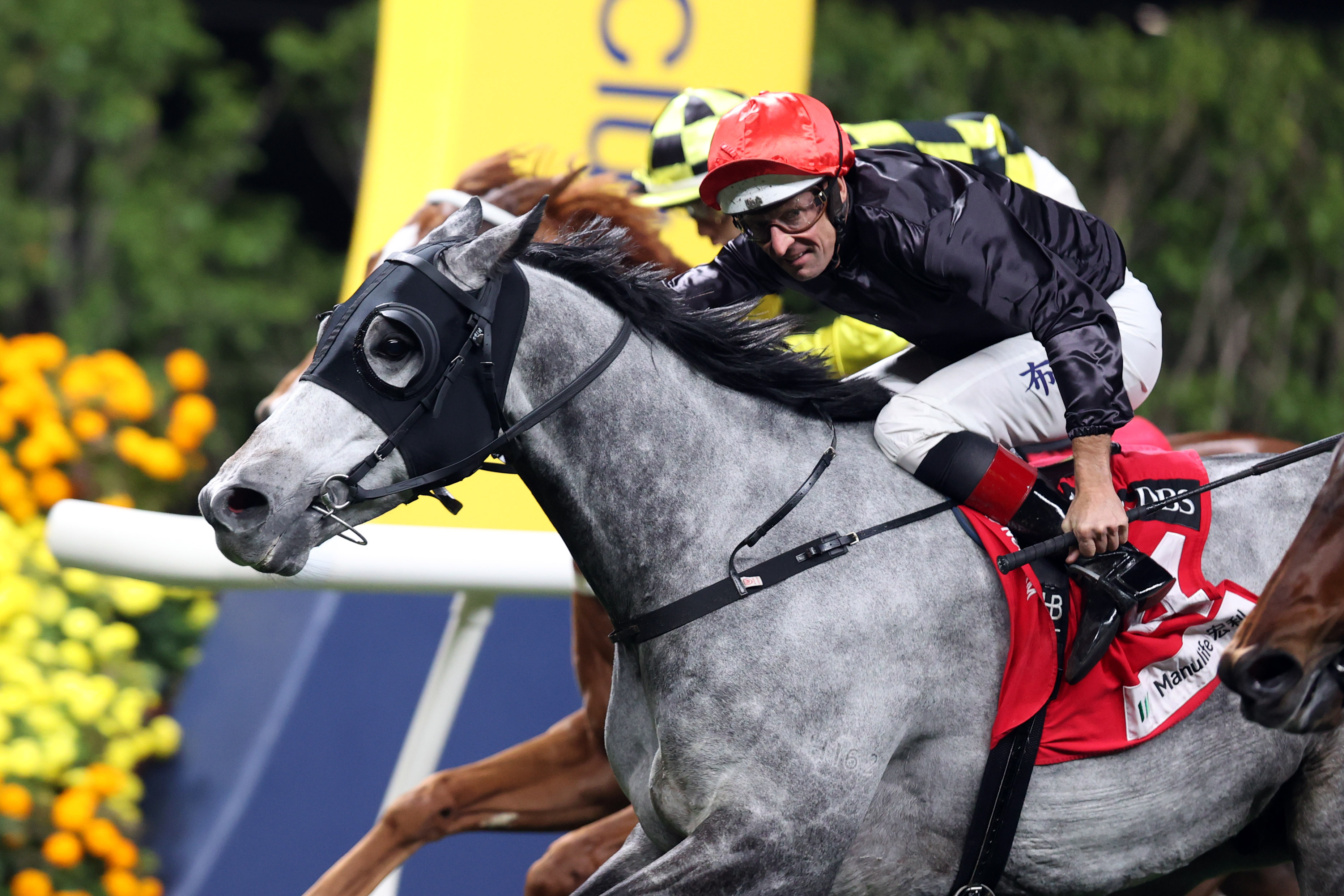 War ready to spread Wings and Soar to another win