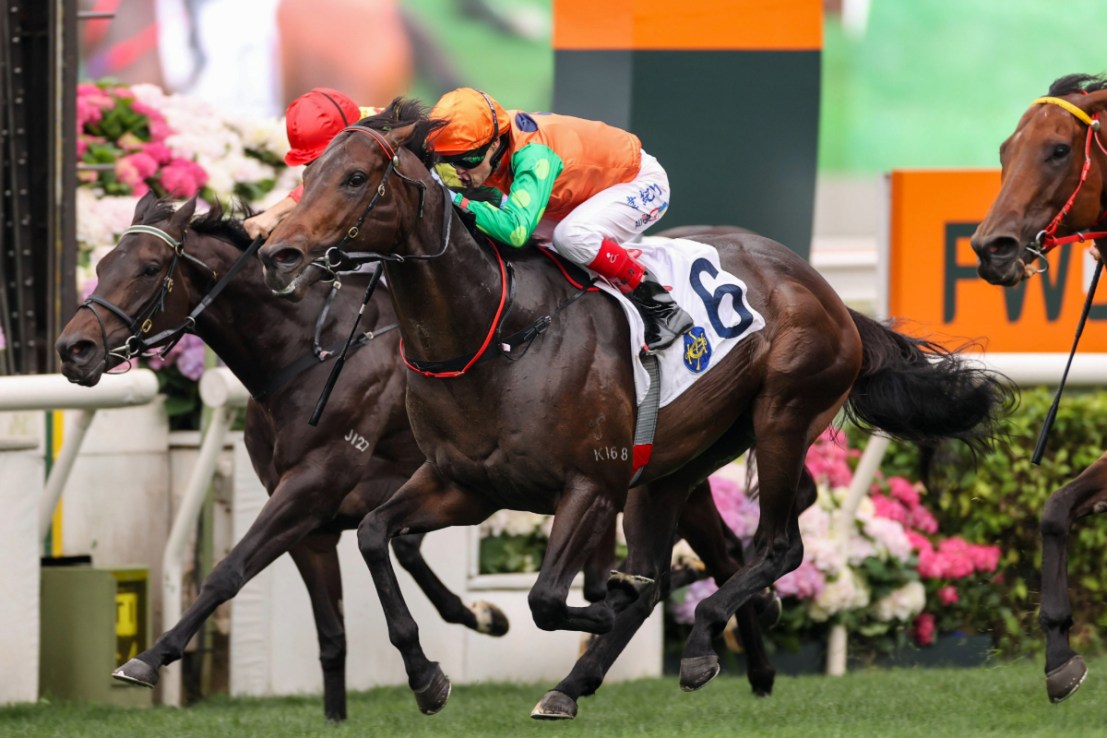 Invincible Shield is seeking a fourth-straight win at Sha Tin this season.