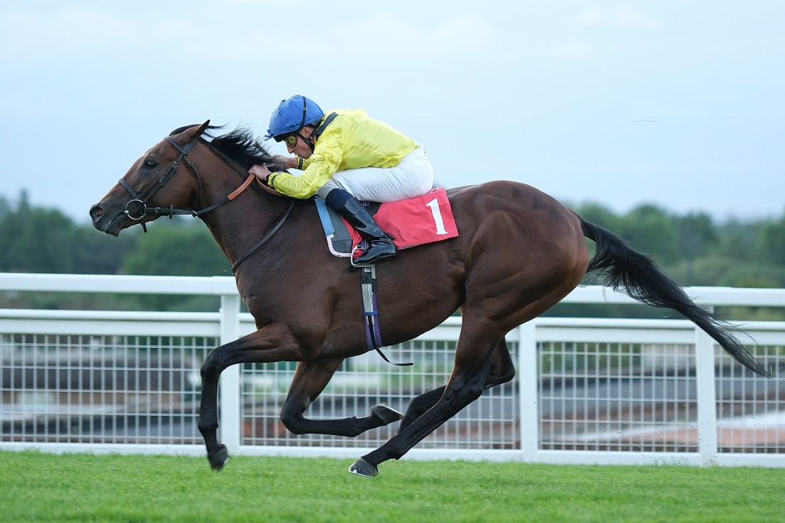 Almaqam can Star in Brigadier Gerard