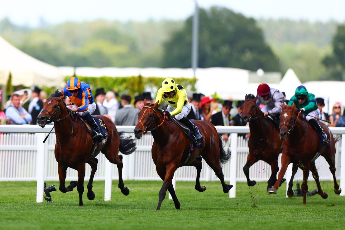 Rosallion holds the key to Lockinge glory at Newbury