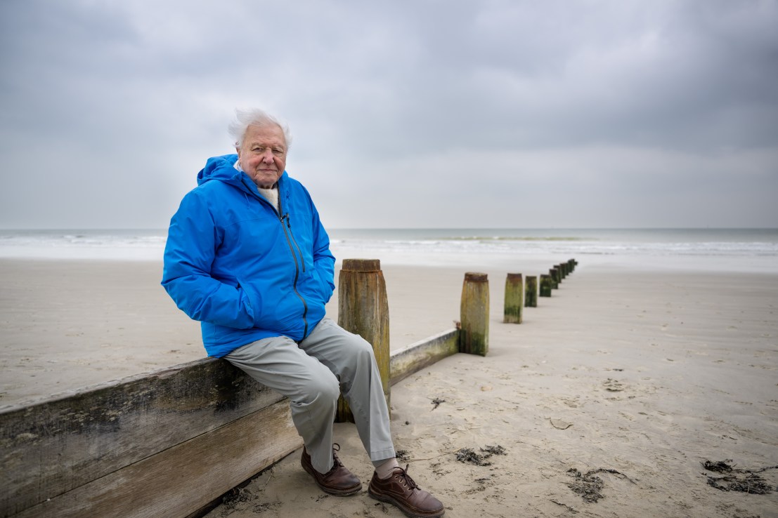 Sir David Attenborough ‘really struggled’ with being famous, says director