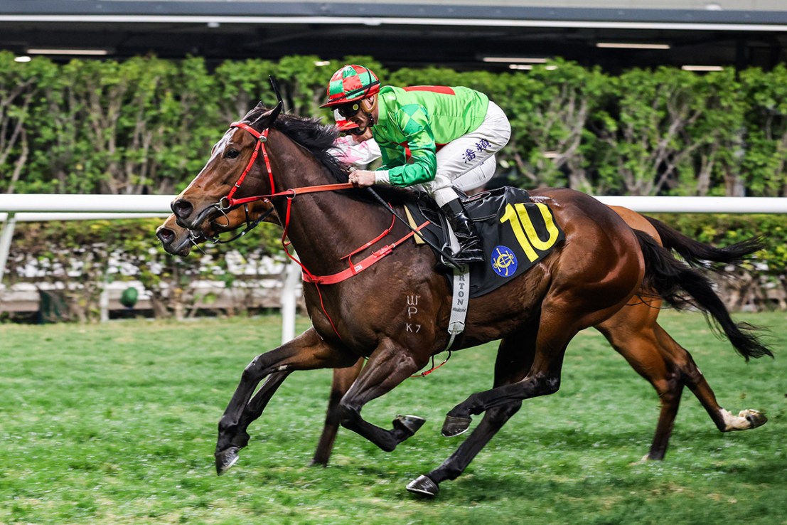 Spirit Of Peace was a winner at Happy Valley in January