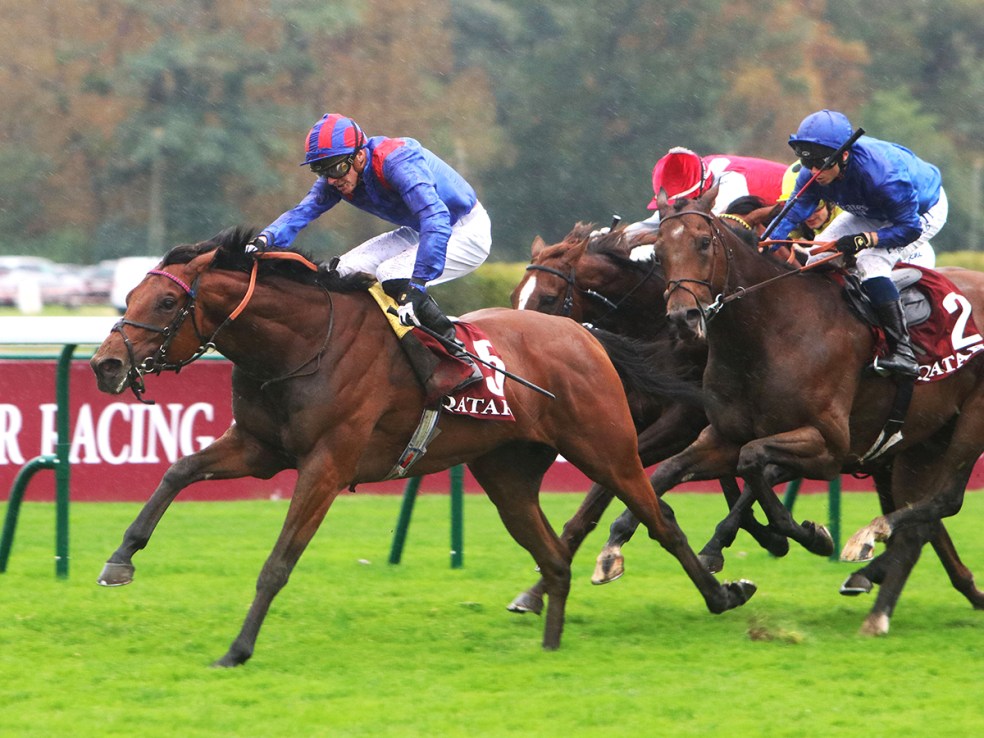 Dubai Honour (left) came second in the Hong Kong Vase in December for British trainer William Haggas.