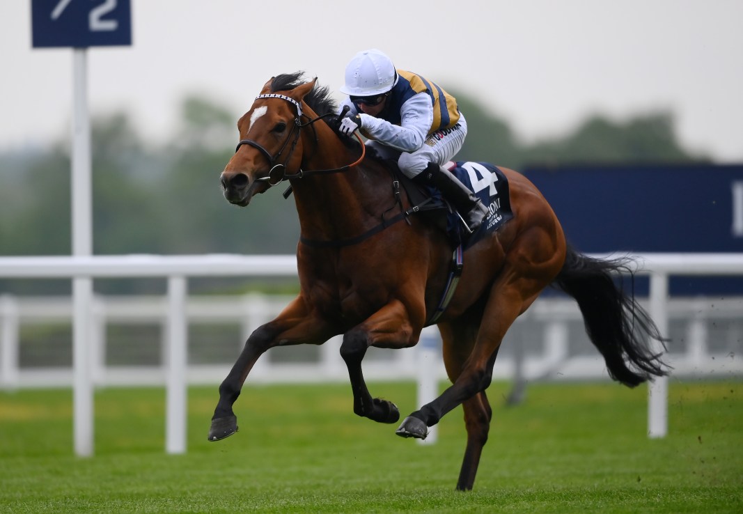 Docklands finished second in last season’s Queen Anne.