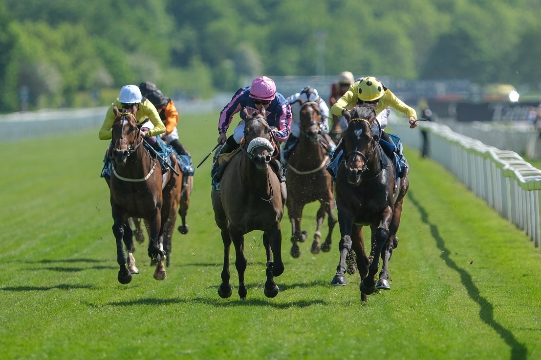 Reve up into Topgear with Bermuda in the Jubilee