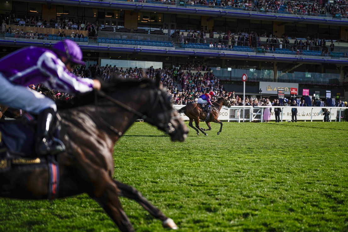 Rogue Legend set to Hurri-home in the Windsor Castle